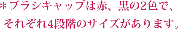 ＊ブラシキャップは赤、黒の2色で、それぞれ4段階のサイズがあります。